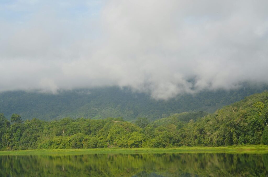 Explore the serene misty mountain landscape with lush greenery and reflections in Ipoh, Malaysia.